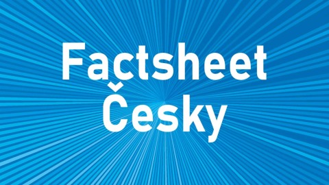 Teasergrafik Factsheet CS