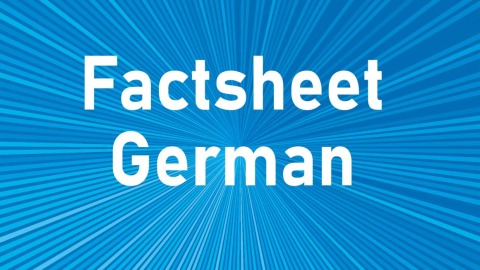Teasergrafik Factsheet German