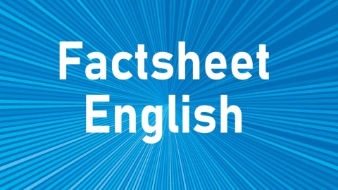 Teasergrafik Factsheet Englisch