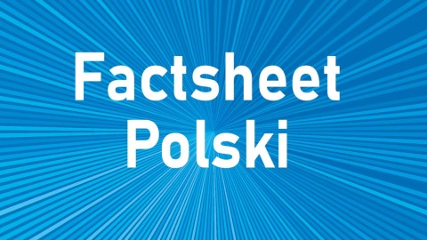 Teasergrafik Factsheet Polnisch